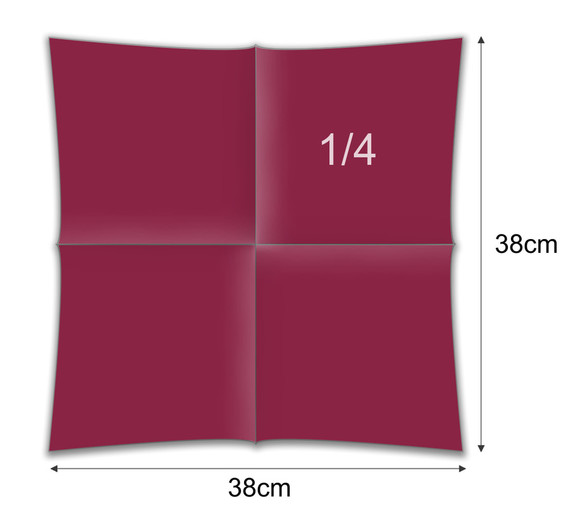 BORDO (309)
