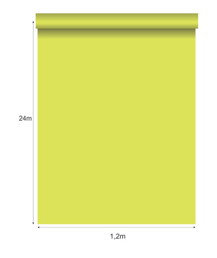 KIWI (392)
