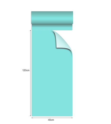 MINT (665)