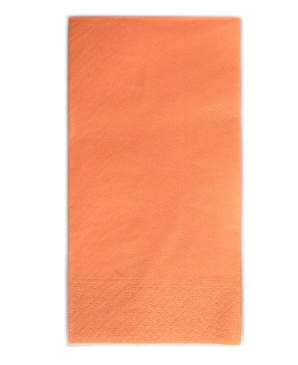 ORANŽNA (313)